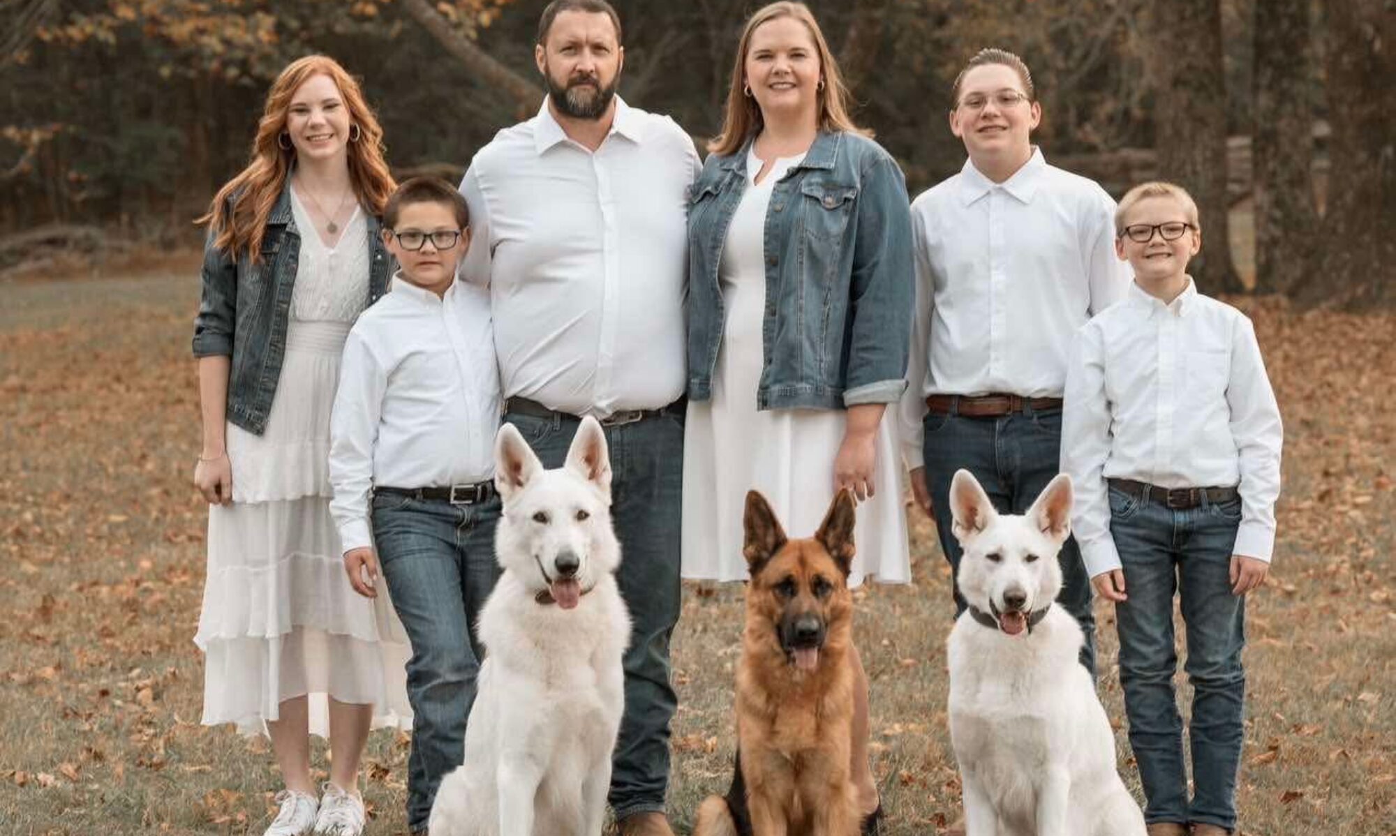 Hall's German/White Shepherds